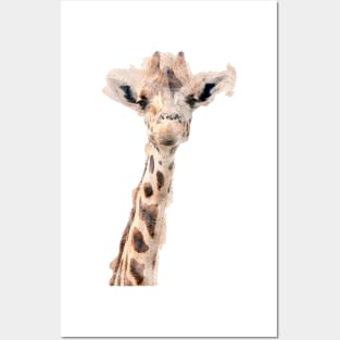 There is a Giraffe in the Room again! Posters and Art